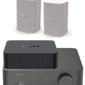 DM6SE_Wiim Vibelink Amp + Streamer Pro