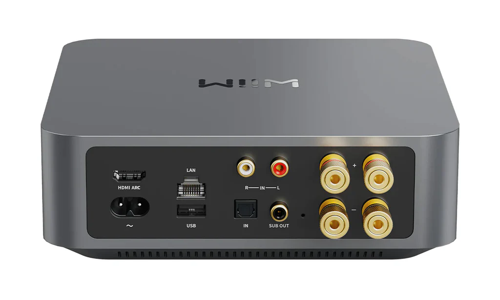 Wiim Amp - Image 2