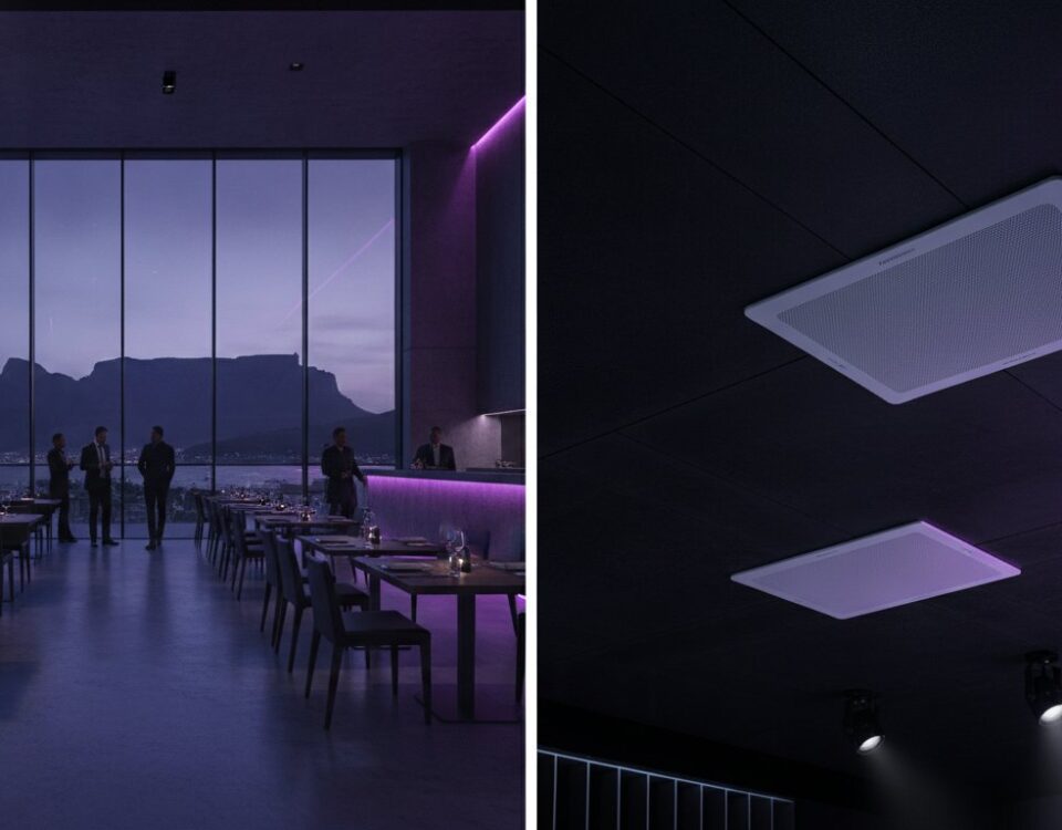 Bose DesignMax Speakers: The Comprehensive Guide for South African Commercial and Residential Spaces